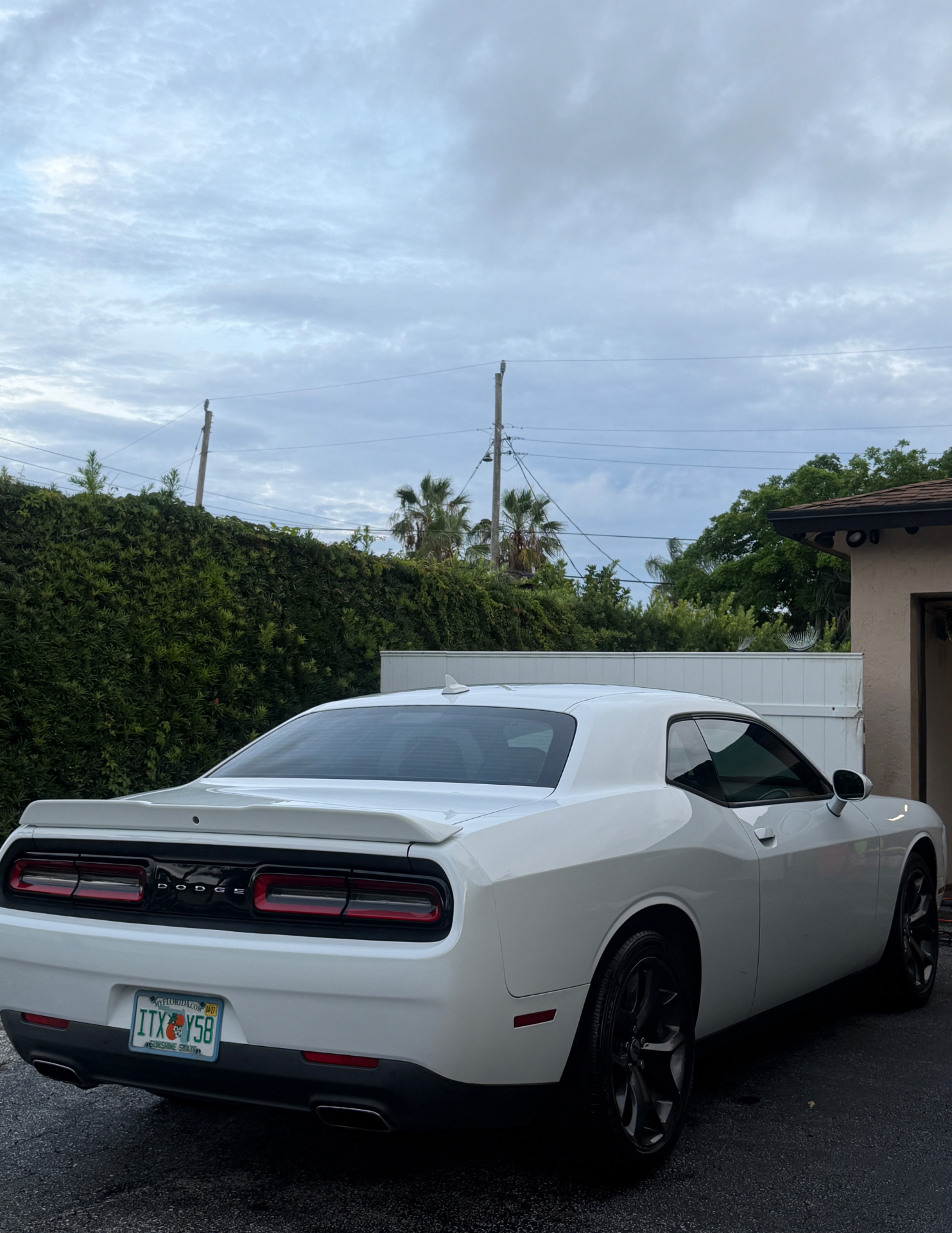 Maintenance Wash