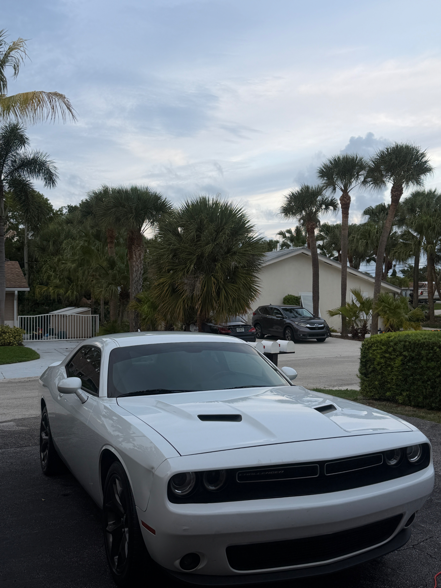 Maintenance Wash